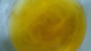 DSC04199-300x169